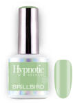 BrillBird TPO FREE Hypnotic HEMA Free Gel&Lac 8ml 230