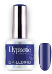 BrillBird TPO FREE Hypnotic HEMA Free Gel&Lac 8ml 93
