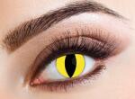 Eyecasions Lentile Feline Lichid lentile contact