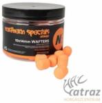 CC Moore Ns1 Dumbell Wafters 10x14mm Orange - CC Moore Narancssárga Wafter Csali (90294)