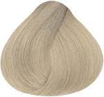 ALFAPARF Milano Alfaparf Evolution hajfesték 60ml 10