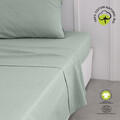 Today Lepedő Drap Plat 240/300 Coton TODAY Organic Celadon Zöld 240x300 cm