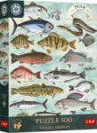 Trefl - Halak 500 darabos kirakó (37619)