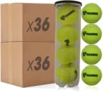 Tecnifibre Training (288 db) teniszlabda (62TRAINING288)