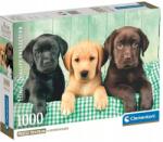 Clementoni - Puzzle Three Labs - 1 000 piese