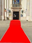 Eventissimi® Inchiriere Covor Rosu pentru Evenimente Private si Corporate (5-20m) (Covor rosu 2x15 ext) Covor