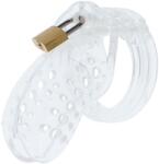 California Exotic Hidden Desire Extreme Chastity Cock Cage Acrylic