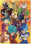 Educa - Puzzle Dragon Ball Super - 500 piese Puzzle