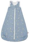 Ergobaby Sac de dormit clasic Ergobaby - Stellar, Tog 2.5, 0-6 luni, mărimea S (SLBSMSTELL25)