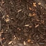  Vadmadár eleség 4 kg