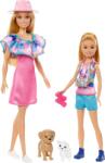 Mattel Mattel Barbie - Set de păpuși cu 2 căței de casă (HRM09) (96690) Papusa Barbie