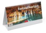 TopTimer Naptár, asztali, álló, TOPTIMER "Fantasztikus tájak (NKT0662U) - jatekotthon