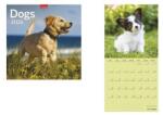 TopTimer Naptár, fali, TOPTIMER, "Dogs (NKT09806U) - jatekotthon