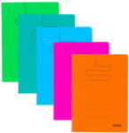 Herlitz Set 5 caiete Herlitz A5, 48 file, 70 g/mp, dictando, coperta plastic, Culori asortate (9497660-5)