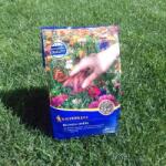 kiepenkerl Dísznövénykeverék virágos rétre 0, 25 kg (651708)