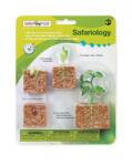 Safari Ltd Ciclul vietii la Planta de Fasole (SAF662416)