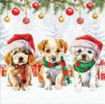 AMBIENTE Szalvéta 25x25cm 20db/csomag Funny cute puppies, Cuki kiskutyák