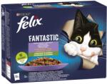 FELIX Felix Fantastic Vegyes Válogatás aszpikban marhával és sárgarépával, csirkével és paradicsommal, lazaccal és cukkinivel, pisztránggal és zöldbabbal 12 x 85 g