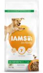 Iams kutyatáp felnőtt nagytestűeknek bárány 3kg