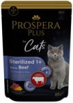 Prospera Plus Plus Sterilizált 1+ tasak, marhahús, tök 85g