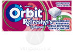 Orbit Refr. Handy. Watermel. -Raspberry8db - vegyesbolt