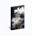 Realsystem Zsebnaptár Álló Picture Írisz 2026 (RS581160)