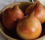 HEKTAR Cedonia F1 125.000 szem