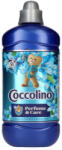  Öblítő koncentrátum 1, 275 liter (51 mosás) Coccolino Passion Flower&Bergamot