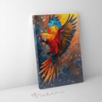 Makana Papagájtánc - Számfestő készlet, kerettel (40x50 cm)