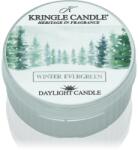 Kringle Candle Winter Evergreen teamécses 42 g