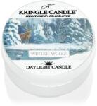 Kringle Candle Winter Woods teamécses 42 g