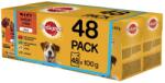 PEDIGREE Vital Protection tasakos húsválogatás zselében 48x100g