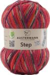 Austermann Step 4 Color 256 Kötőfonal (97689-256)