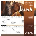 LIZZY CARD Falinaptár mágneses LIZZY CARD 220x220mm 2 hetes Lovak 2026. 21692 (21692)