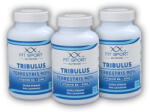 FitSport Nutrition 3x Tribulus Terrestris 90% + Vitamina B6 + Zinc 100 capsule