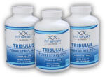 FitSport Nutrition 3x Tribulus Terrestris 90% + Vitamina B6 + Zinc 240 capsule