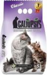  Caliopsis Classic illatmentes alom 5 L