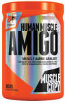 EXTRIFIT Amigo 300 Kapszula