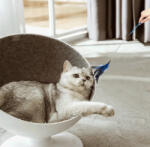 Nobleza Macska játékpálca (186068_L)