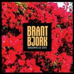 Bjork, Brant Bougainvillea Suite - facethemusic - 14 590 Ft