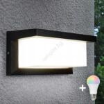 BOWI LED RGBW димируем външен стенен осветител NEELY 1xE27/9W/230V IP54 черен (LEDBW0332D)