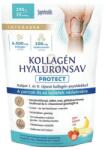 INTERHERB Kollagén & Hialuronsav Protect porcépítő epres banános italpor - 290g - bio