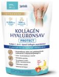 INTERHERB Kollagén & Hialuronsav Protect porcépítő epres banános italpor - 290g - egeszsegpatika