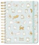 Lizzy Card Határidőnapló 2026 heti B/5 PLANALL Classic spirálos keményfedelű gumis Kitty (21536)