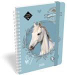 Lizzy Card Határidőnapló 2026 heti B/6 LIZZY spirálozott gumis Wild beuty sport club (21586)