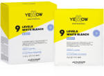 Yellow Yellow Pudra Decoloranta Alba 9 Tonuri - Decolorare Profesionala Puternica cu Quinoa si Aloetrix- Set 12x50g