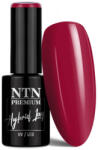 NTN Premium UV/LED Géllakk 114#