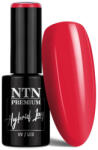NTN Premium UV/LED Géllakk 126#