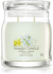 Yankee Candle Midnight Jasmine ароматна свещ I. Signature 368 гр