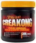 PVL Creakong kreatin 300g (KRE000063)